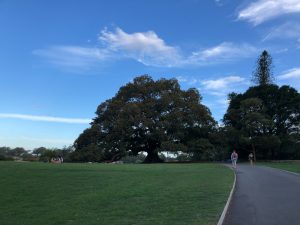 Royal Botanic Garden